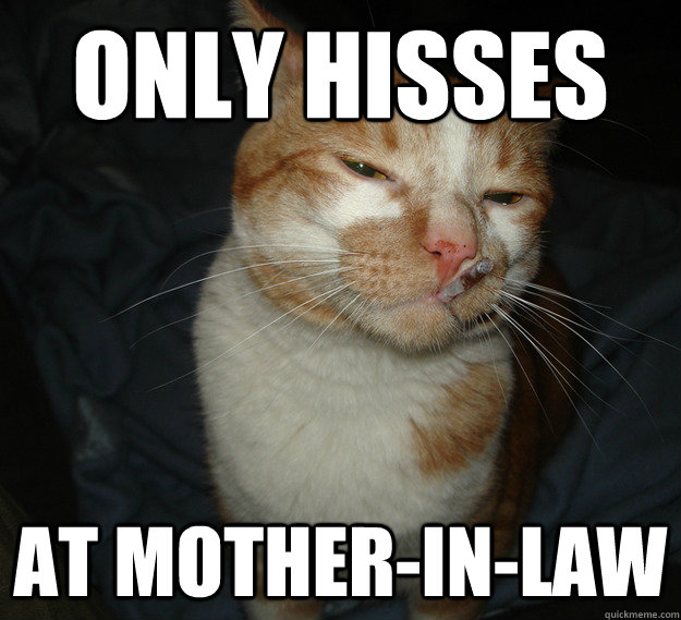 Only hisses At mother-in-law  Good Guy Cat