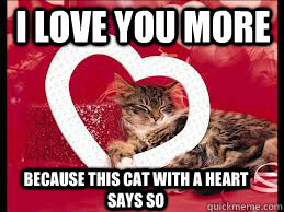 I love you more Because this cat with a heart says so - I love you more Because this cat with a heart says so  valentinekitty