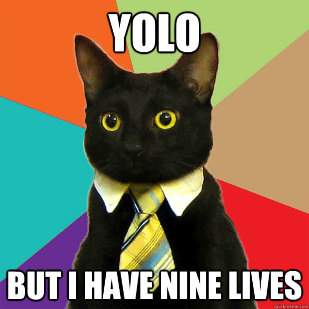 YOLO but I Have Nine Lives  Business Cat