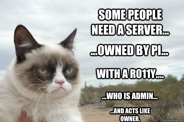 some PEOPLE need a server... ...Owned by Pi... WITH a r011y.... ...who is admin... ...and acts like owner.  