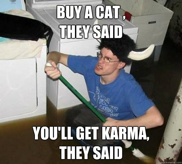 Buy a cat ,
they said You'll get karma,
they said  They said