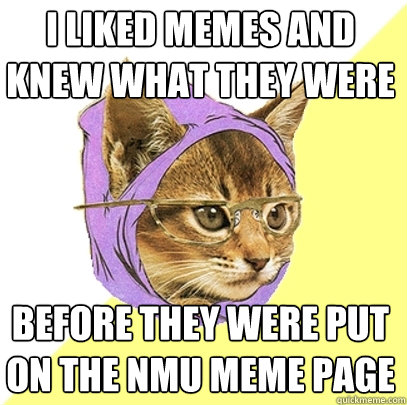 I liked memes and knew what they were before they were put on the nmu meme page  Hipster Kitty