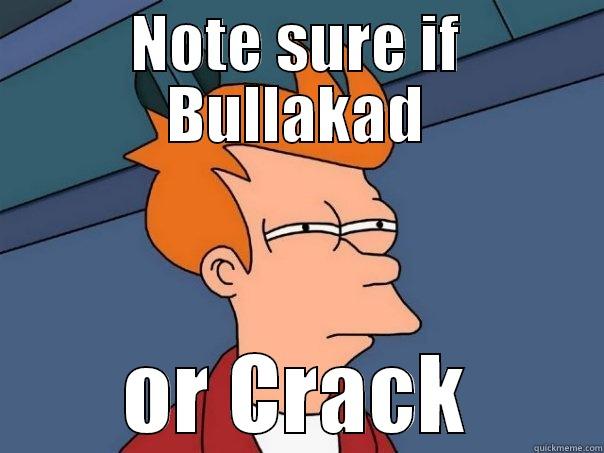 NOTE SURE IF BULLAKAD OR CRACK Futurama Fry