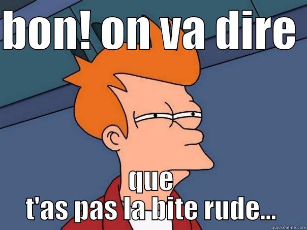 BON! ON VA DIRE  QUE T'AS PAS LA BITE RUDE... Futurama Fry