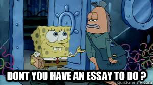  Dont You Have AN essay To Do ? -  Dont You Have AN essay To Do ?  Spongebob Essay Meme