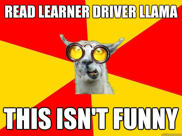 read learner driver llama  this isn't funny  Learner Driver Llama