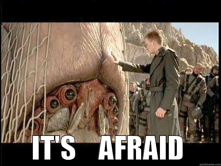  IT'S    AFRAID Misc
