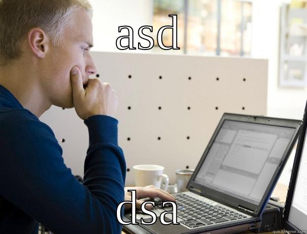 ASD DSA Programmer