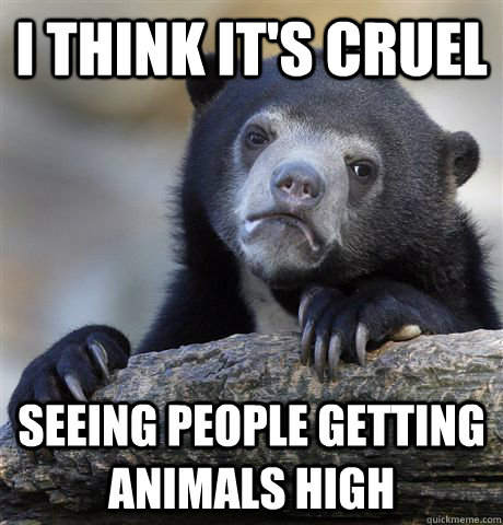 I think it's cruel  seeing people getting animals high  Confession Bear
