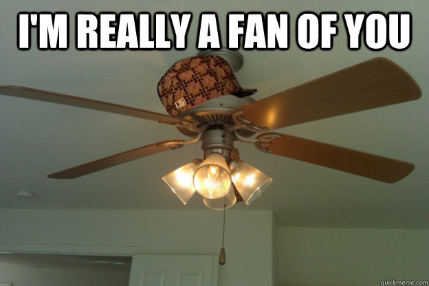 I'm really a fan of you   scumbag ceiling fan
