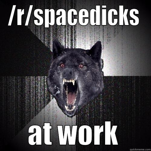 /R/SPACEDICKS AT WORK Insanity Wolf