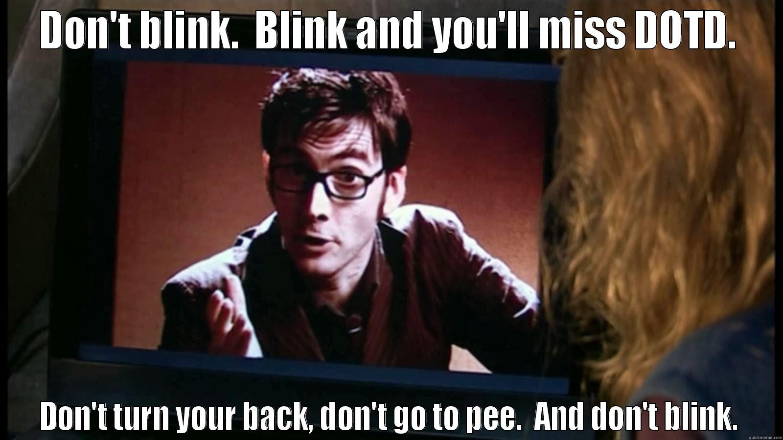 DON'T BLINK.  BLINK AND YOU'LL MISS DOTD. DON'T TURN YOUR BACK, DON'T GO TO PEE.  AND DON'T BLINK. Misc