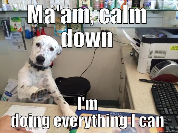 dog receptionist - MA'AM, CALM DOWN I'M DOING EVERYTHING I CAN Misc