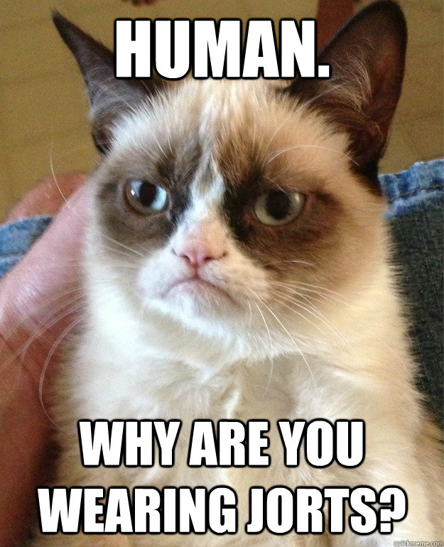 Human. Why are you wearing jorts?  Grumpy Cat