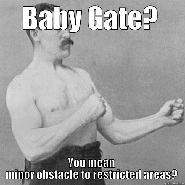 BABY GATE? YOU MEAN MINOR OBSTACLE TO RESTRICTED AREAS? overly manly man