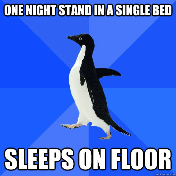 ONE NIGHT STAND IN A SINGLE BED SLEEPS ON FLOOR  Socially Awkward Penguin