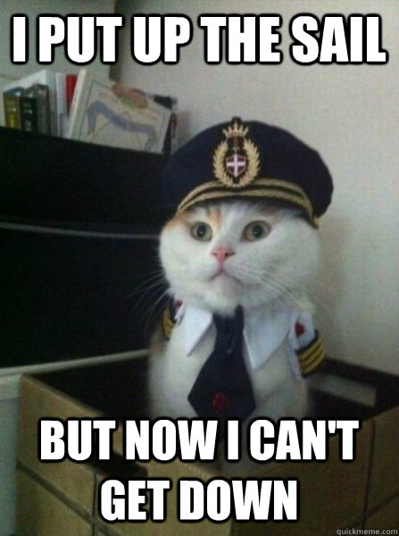 I put up the sail But now I can't get down  Captain kitteh