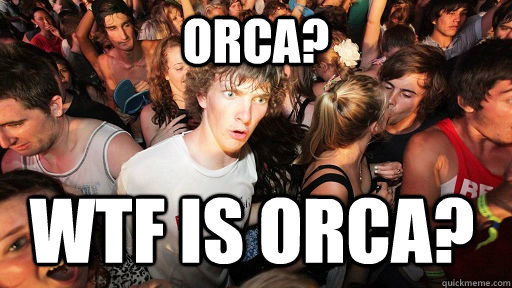 orca? wtf is orca?  Sudden Clarity Clarence