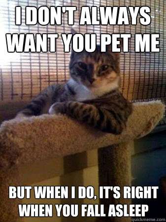 I don't always want you pet me but when I do, it's right when you fall asleep  The Most Interesting Cat in the World
