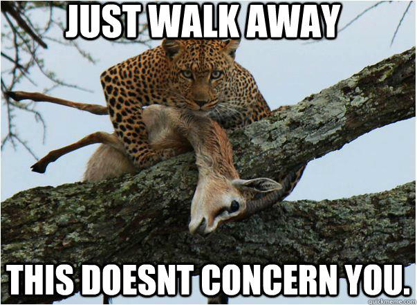 just walk away this doesnt concern you.  Creepy Cheetah