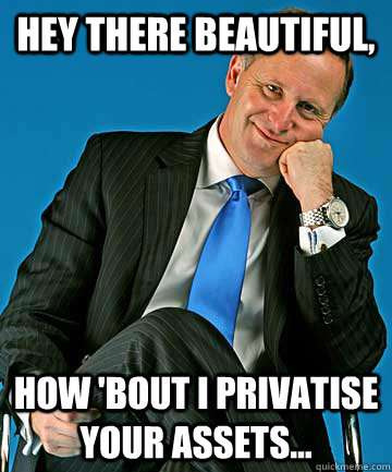 Hey there beautiful, How 'bout I privatise your assets...  