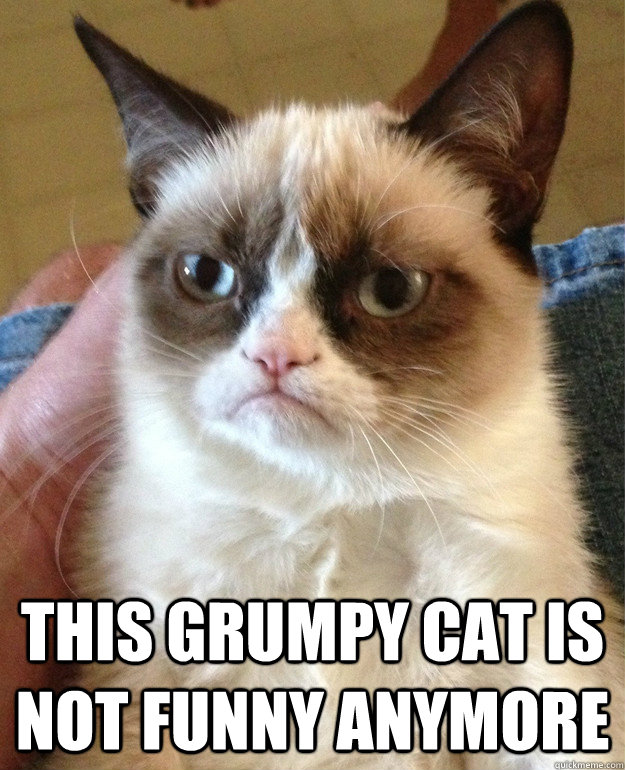  This grumpy cat is not funny anymore -  This grumpy cat is not funny anymore  Grumpy Cat