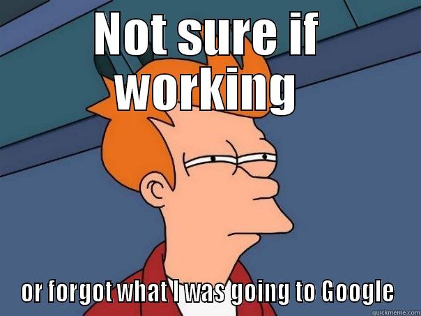 NOT SURE IF WORKING OR FORGOT WHAT I WAS GOING TO GOOGLE Futurama Fry