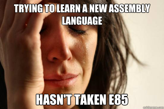 Trying to learn a new assembly language Hasn't taken E85 - Trying to learn a new assembly language Hasn't taken E85  First World Problems