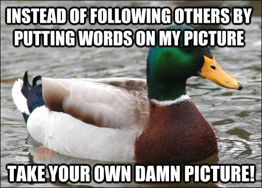 instead of following others by putting words on my picture take your own damn picture!  Actual Advice Mallard