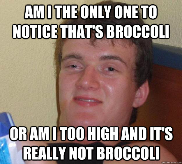 Am i the only one to notice that's broccoli Or am I too high and it's really not broccoli  10 Guy