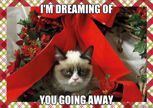 I'm dreaming of  you going away  A Grumpy Cat Christmas