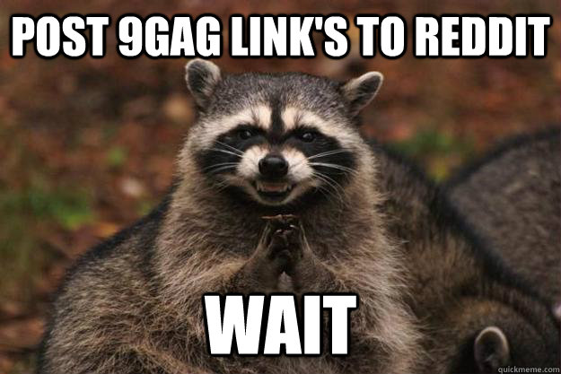 post 9gag link's to reddit  wait  Evil Plotting Raccoon