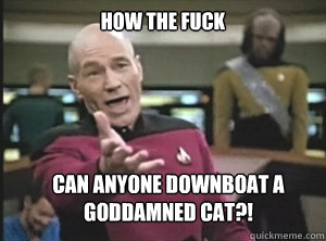 How the fuck can anyone downboat a goddamned cat?!  Annoyed Picard