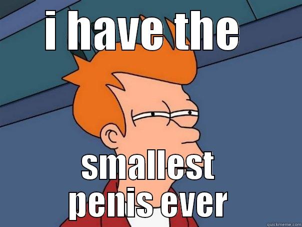 I HAVE THE  SMALLEST PENIS EVER Futurama Fry