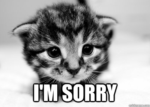  I'm Sorry -  I'm Sorry  Apologetic Kitten