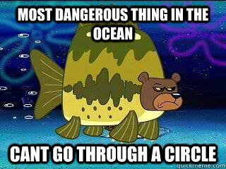 Most Dangerous Thing In The Ocean Cant Go Through A circle  Sea Bear