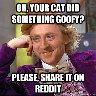 Oh, your cat did something goofy? please, share it on reddit  Creepy Wonka