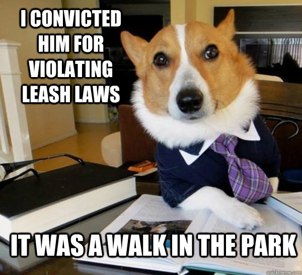 I convicted him for violating leash laws It was a walk in the park  Lawyer Dog