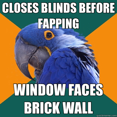 CLOSES BLINDS BEFORE FAPPING WINDOW FACES BRICK WALL  Paranoid Parrot
