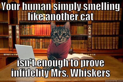 YOUR HUMAN SIMPLY SMELLING LIKE ANOTHER CAT ISN'T ENOUGH TO PROVE INFIDELITY MRS. WHISKERS Misc