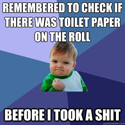 Remembered to check if there was toilet paper on the roll before i took a shit  Success Kid