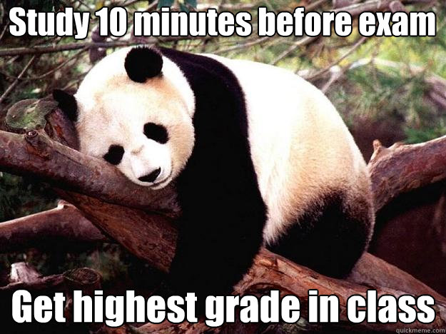 Study 10 minutes before exam Get highest grade in class  Procrastination Panda
