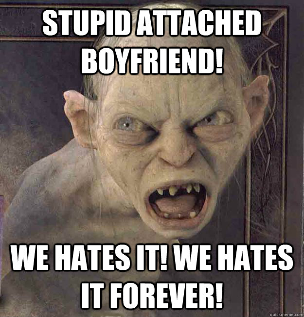 stupid attached boyfriend!  we hates it! we Hates it FOREVER!   