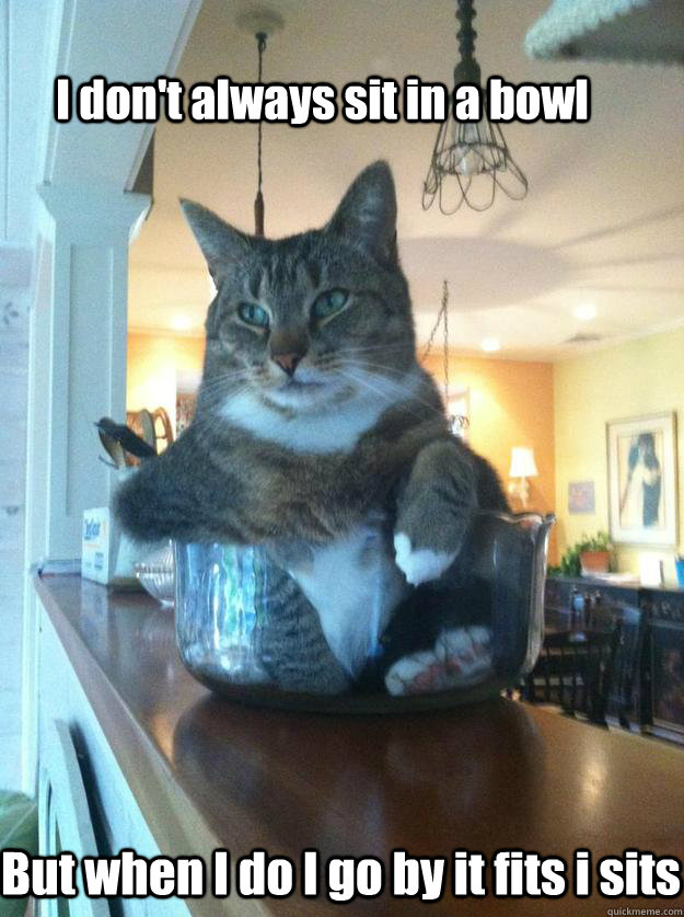 I don't always sit in a bowl But when I do I go by it fits i sits  Most interesting cat in the world