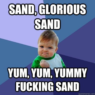sand, glorious sand yum, yum, yummy fucking sand  Success Kid