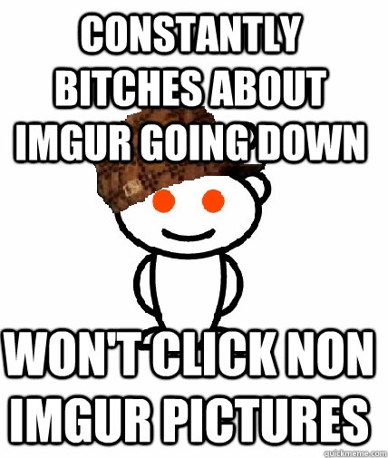 Constantly bitches about imgur going down Won't click non imgur pictures  Scumbag Redditor