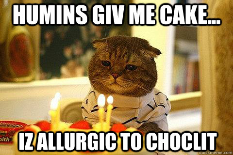Humins giv me cake... Iz allurgic to choclit  Sad Birthday Cat
