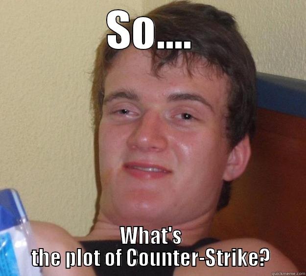SO.... WHAT'S THE PLOT OF COUNTER-STRIKE? 10 Guy