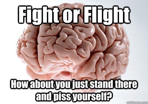 Fight or Flight How about you just stand there and piss yourself?  Scumbag Brain