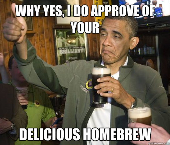 Why yes, I do approve of your delicious homebrew  Upvoting Obama